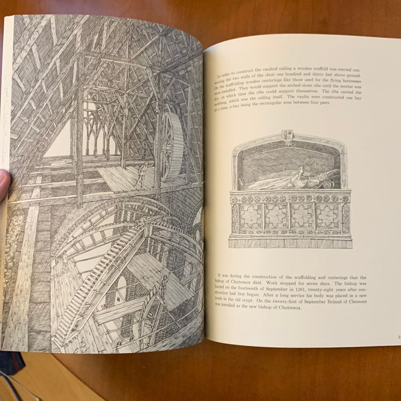 Cathedral (1973 Caldecott Honor Book)