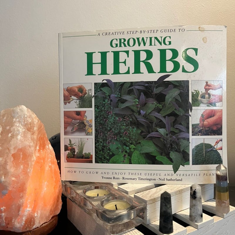 Creative Step by Step Guide to Growing Herbs