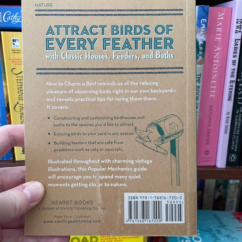 Popular Mechanics How to Charm a Bird