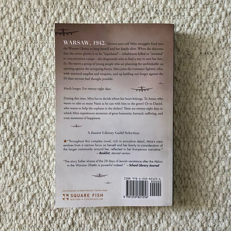 28 Days: a Novel of Resistance in the Warsaw Ghetto