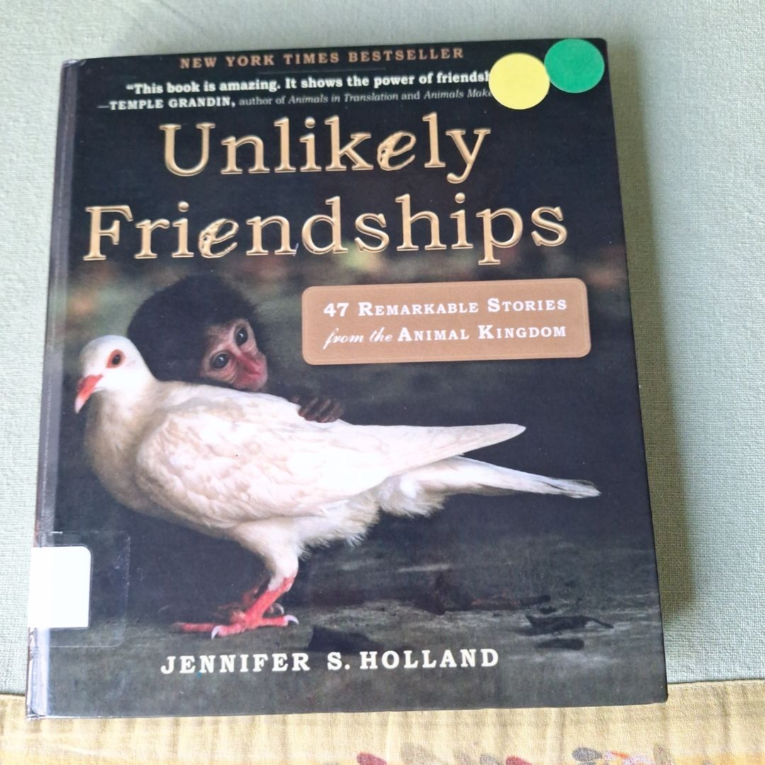 Unlikely Friendships