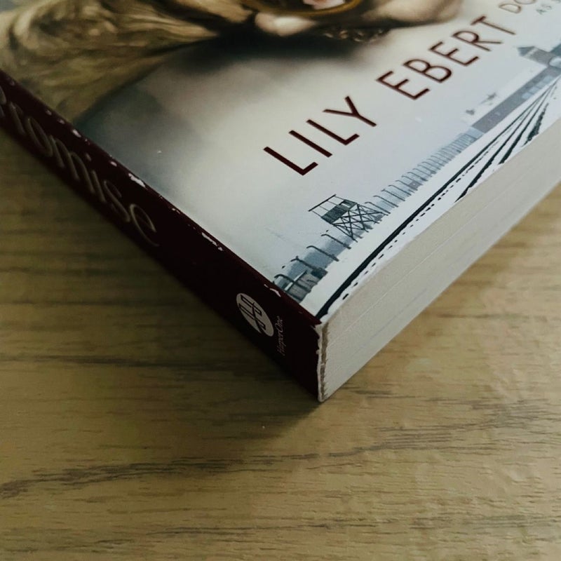 Lily's Promise-FIRST EDITION! 