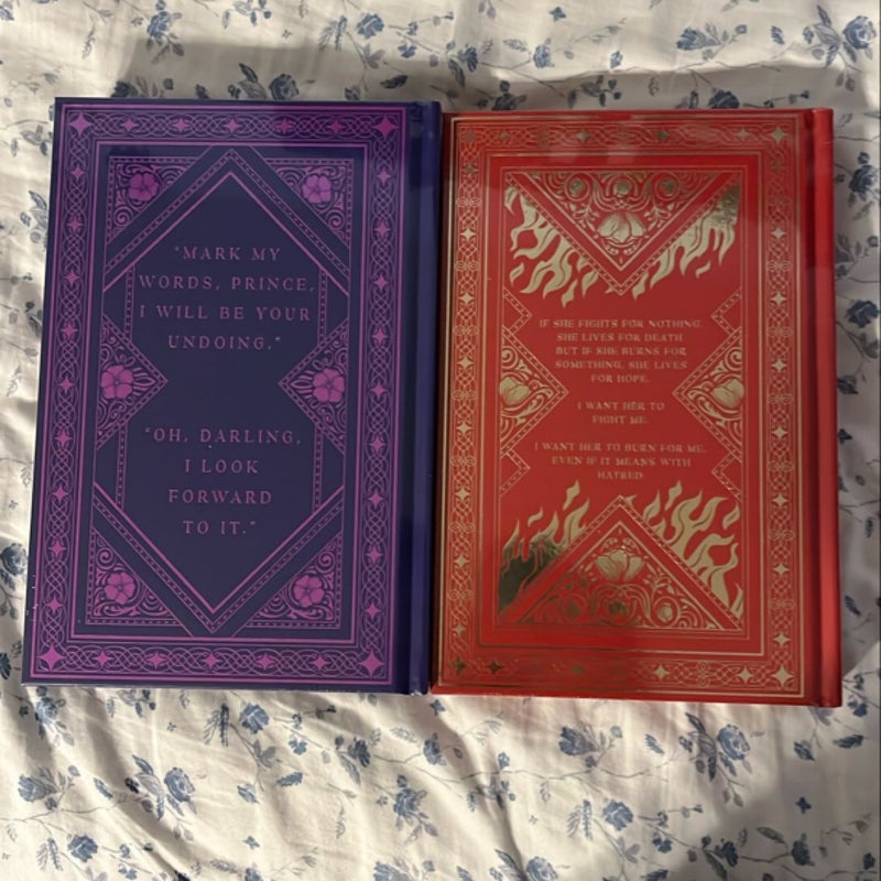 Powerless & Reckless *Bookish Box Editions*