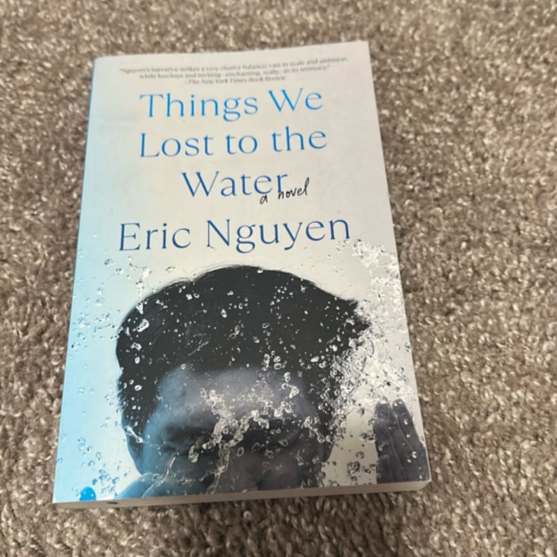 Things We Lost to the Water