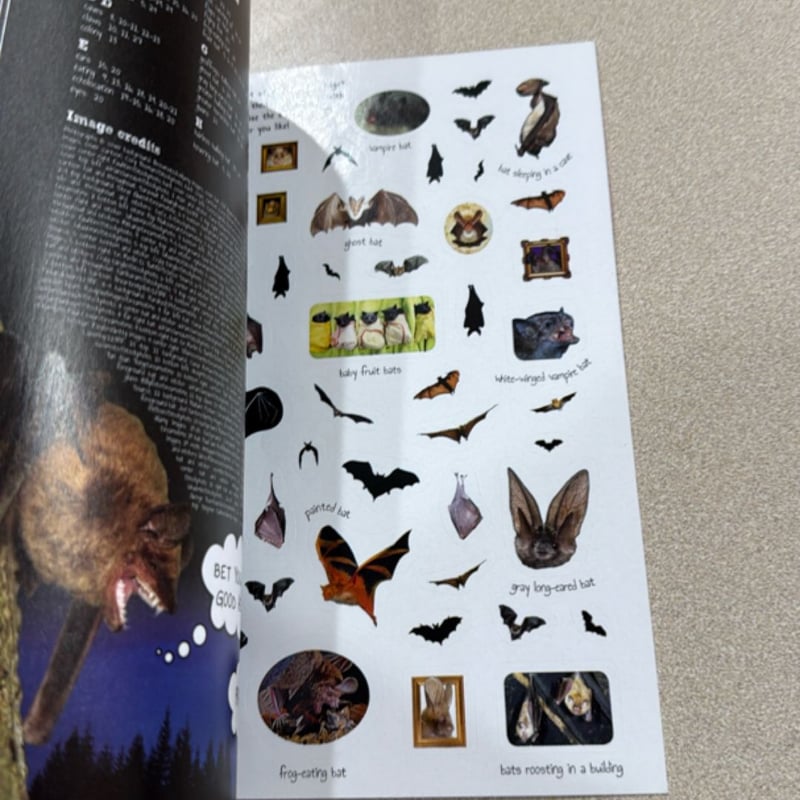 Icky Sticky - Bats by Laaren Brown, Paperback | Pangobooks