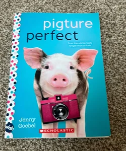 Pigture Perfect: a Wish Novel