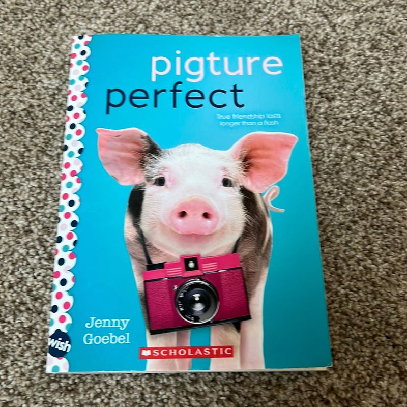 Pigture Perfect: a Wish Novel