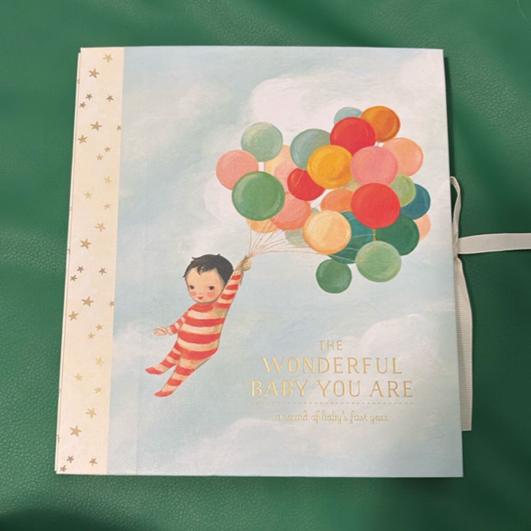 The Wonderful Baby You Are