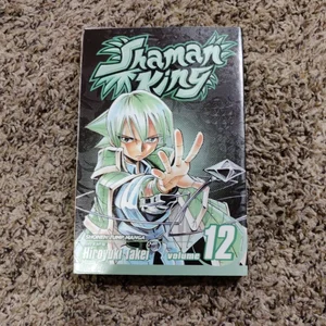 Shaman King, Vol. 12