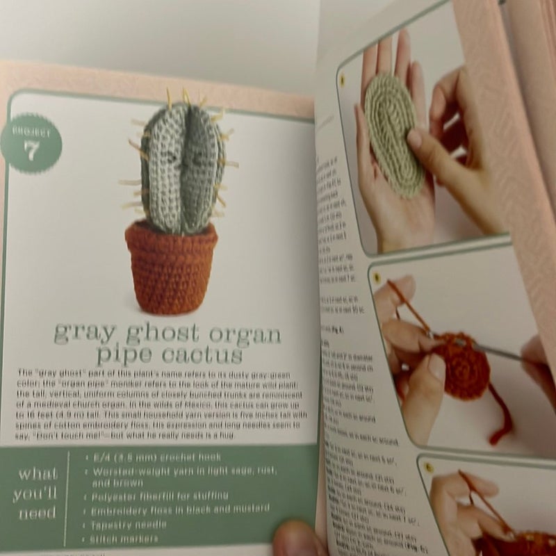 Cuddly Cacti Crochet