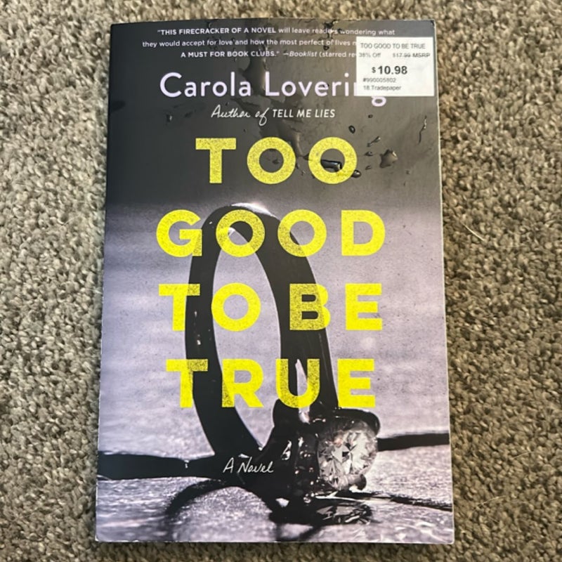 Too Good to Be True