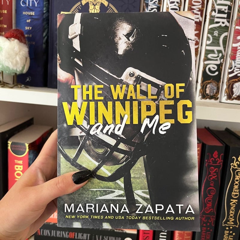 The Wall of Winnipeg and Me (OOP Indie edition)