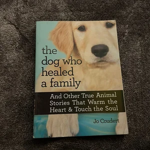 The Dog Who Healed a Family