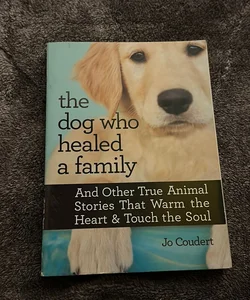 The Dog Who Healed a Family