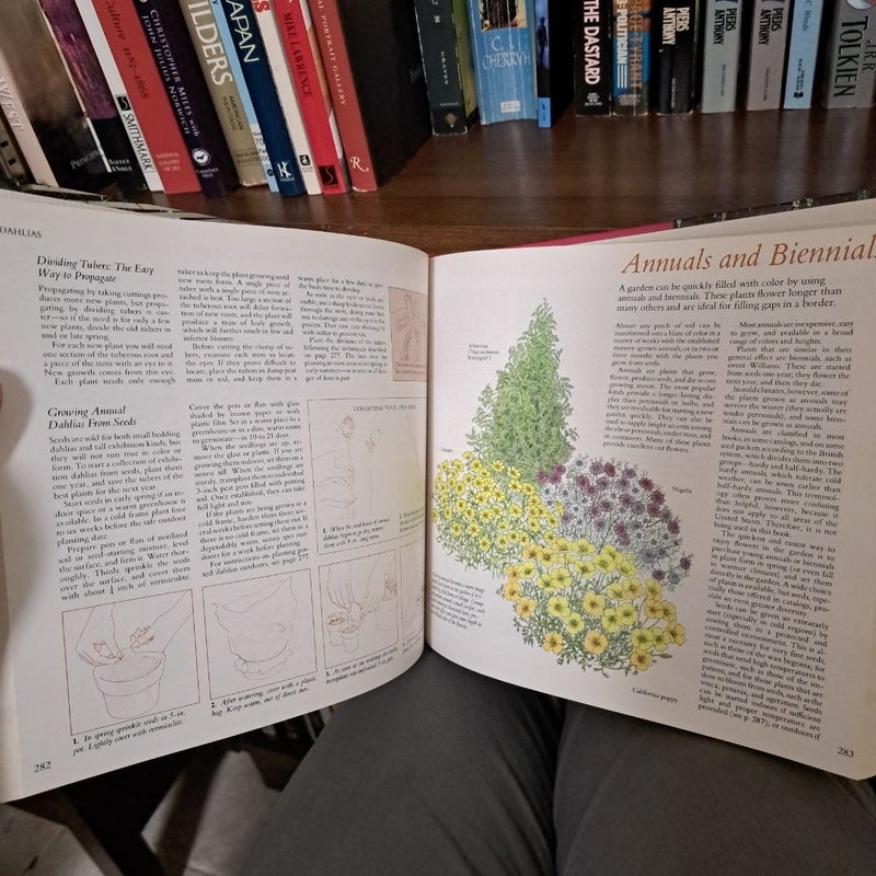 An Illustrated Guide to Gardening