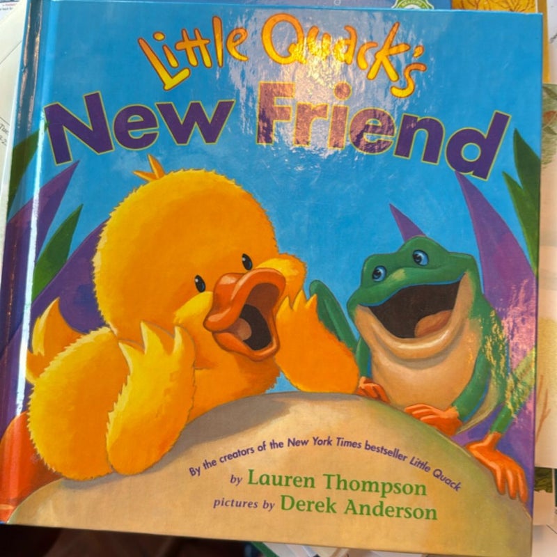Little Quack's New Friend