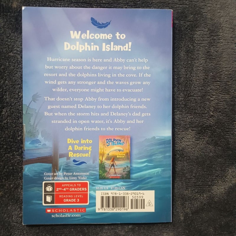 Lost in the Storm (Dolphin Island #2)