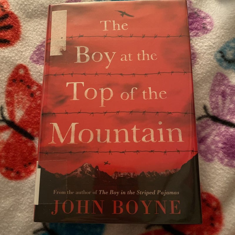 The Boy at the Top of the Mountain