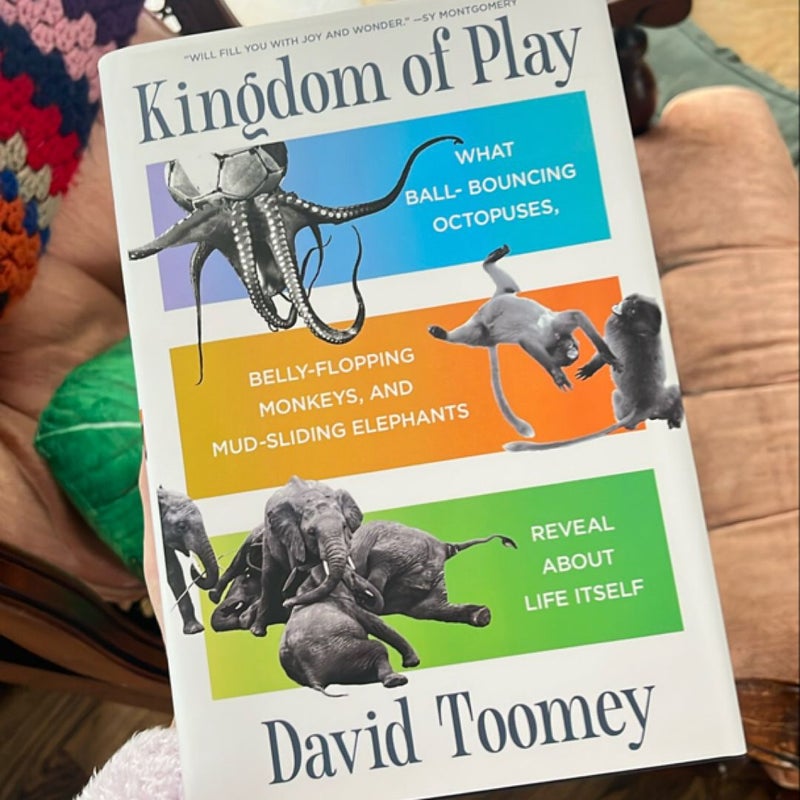 Kingdom of Play