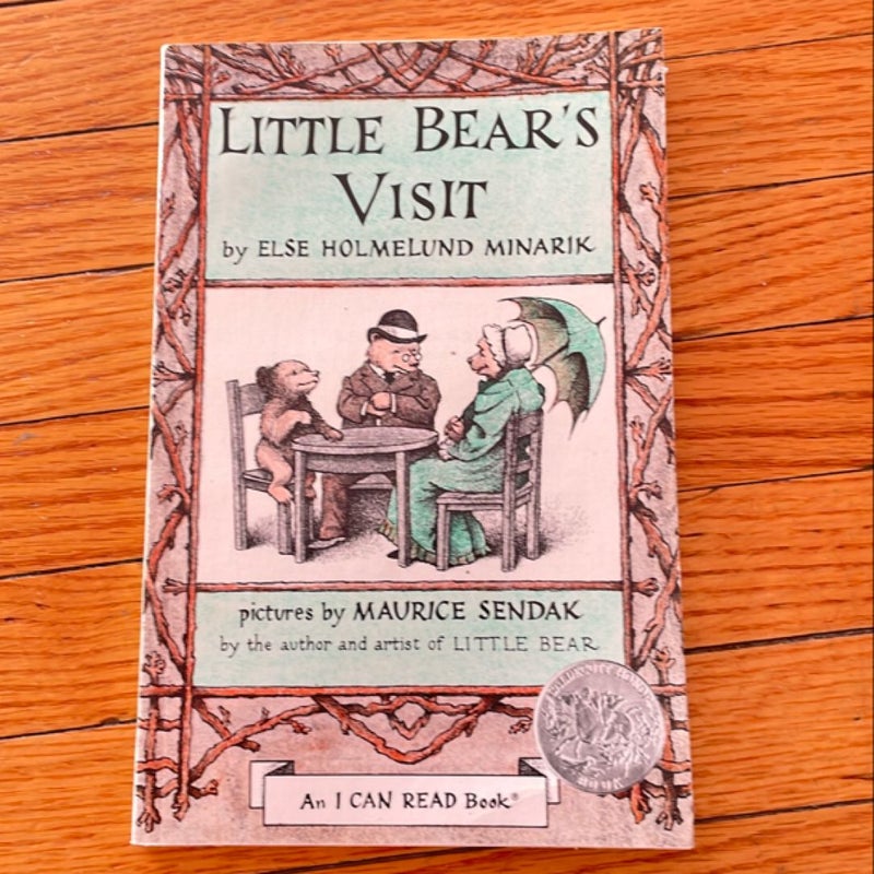 Little Bear's Visit