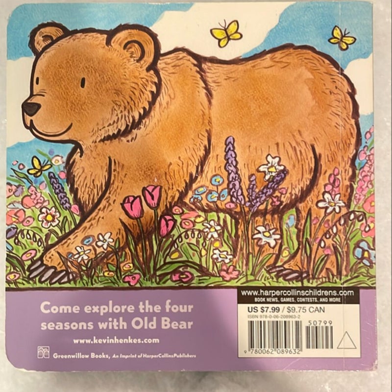 Old Bear Board Book