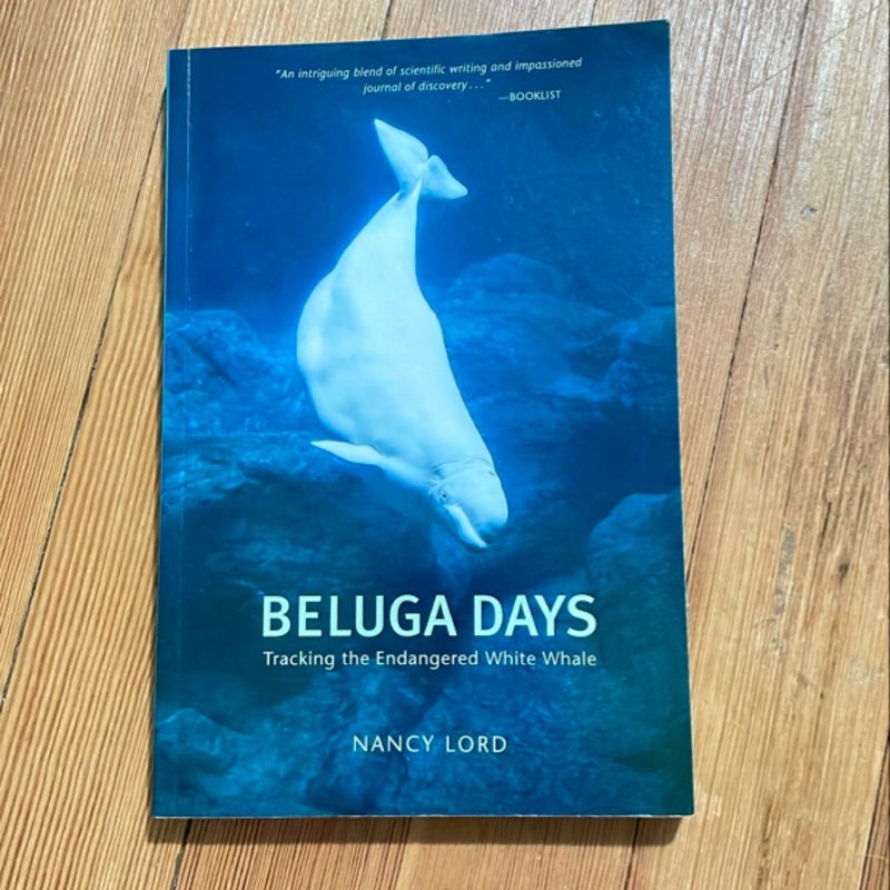 Beluga Days