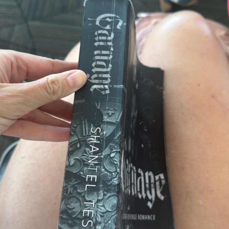 Carnage: a Dark Revenge Romance