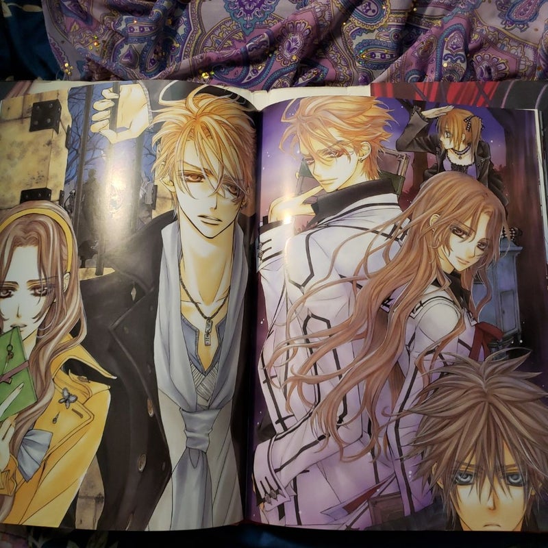 The Art of Vampire Knight