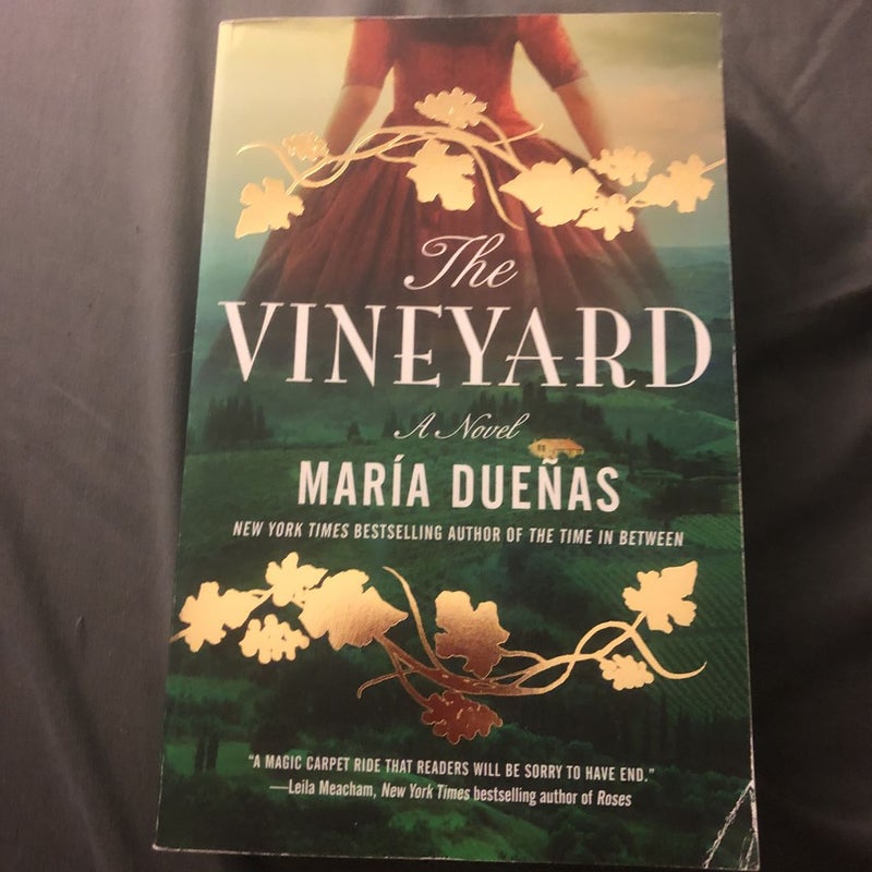 The Vineyard