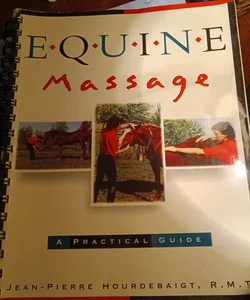Equine Massage 
