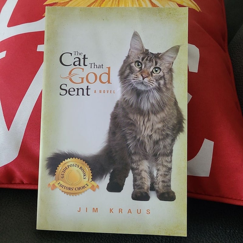 The Cat That God Sent