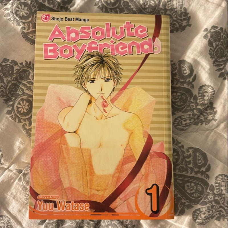 Absolute Boyfriend, Vol. 1