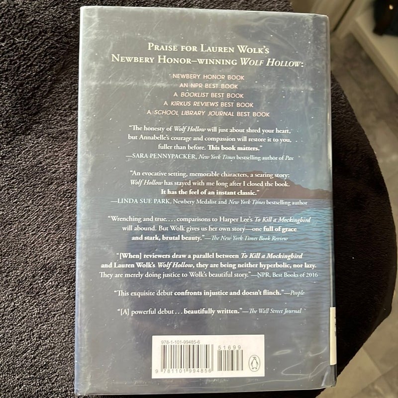 Beyond the Bright Sea by Lauren Wolk, Hardcover | Pangobooks
