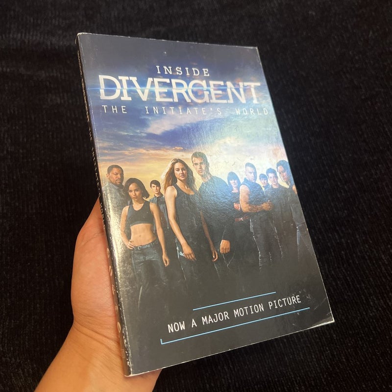 Inside Divergent: the Initiate's World