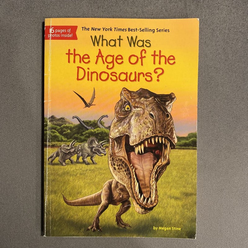 What Was The Age Of The Dinosaurs ?