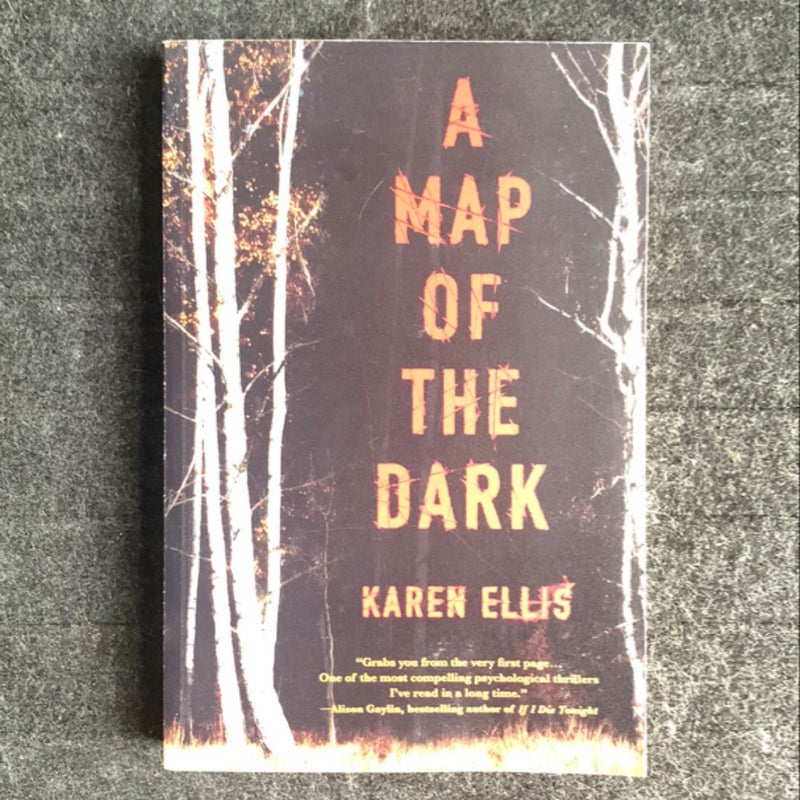 A Map of the Dark