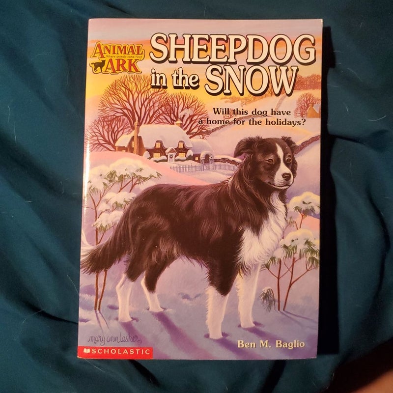 Sheepdog in the Snow