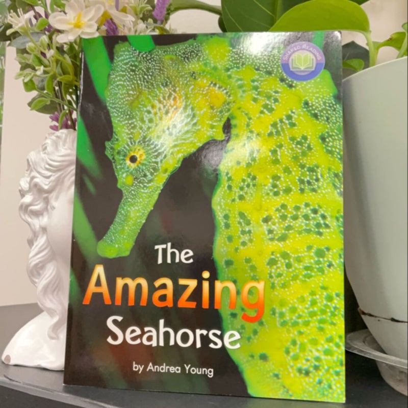 The Amazing Seahorse