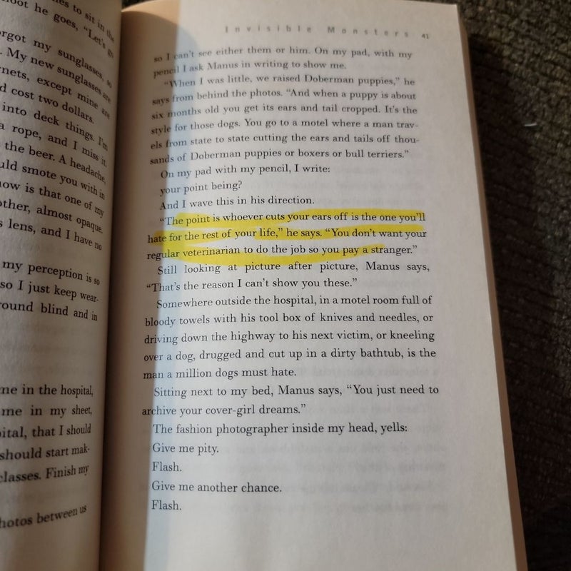 Invisible Monsters