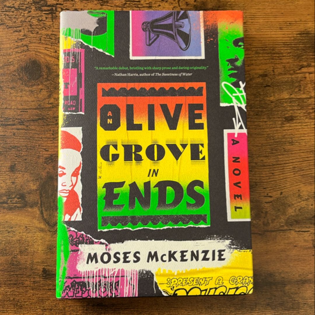 An Olive Grove in Ends