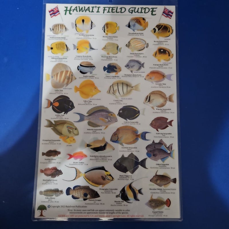 Hawai'i Field Guide to Reef Fishes