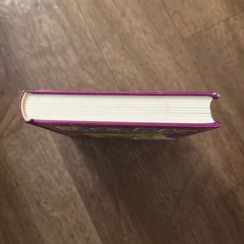Dork Diaries 2
