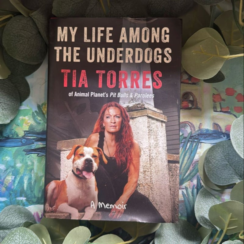 My Life among the Underdogs