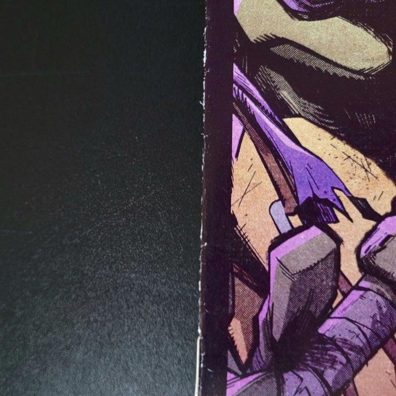 Teenage Mutant Ninja Turtles #1
