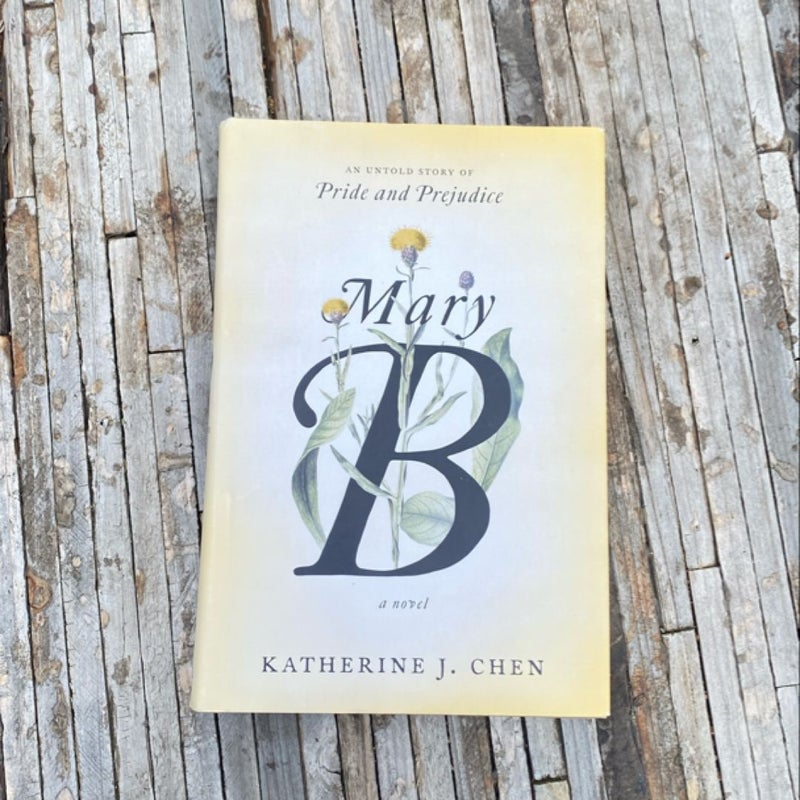 Mary B: a Novel