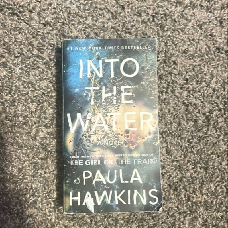 Into the Water