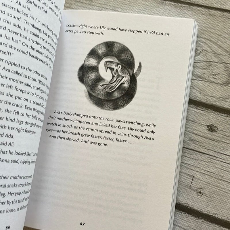 Scary Stories for Young Foxes