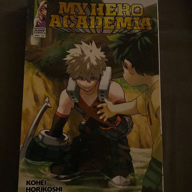 My Hero Academia, Vol. 29