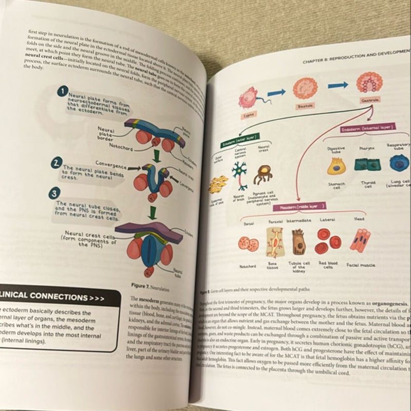 Blueprint MCAT Biology 2023-2024