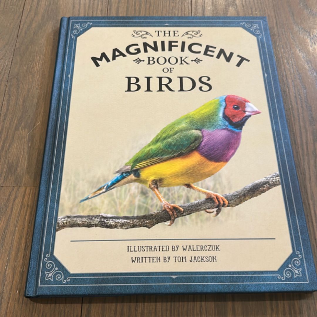The Magnificent Book of Birds